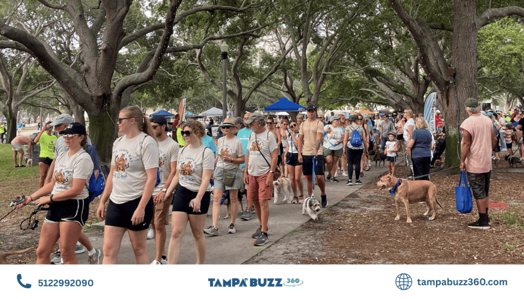 Things to Do in St. Petersburg This Weekend: Best Festivals & Events Guide