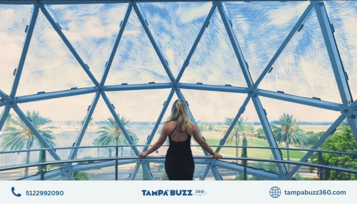 The Top Things To Do While You’re in St. Pete